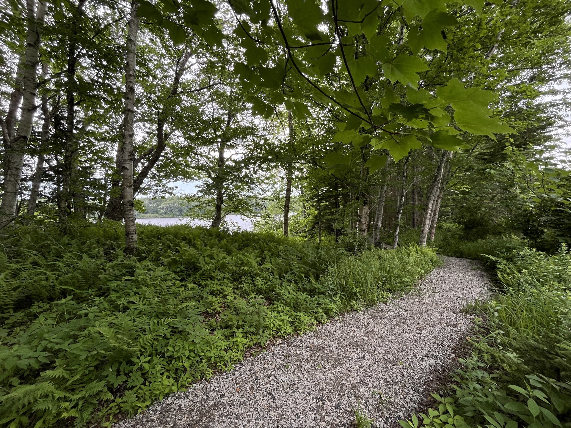 WP Trail